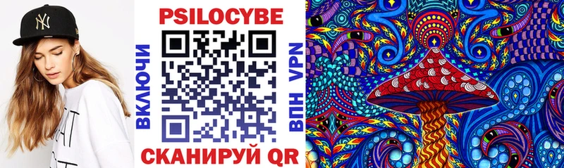 мега зеркало купить наркотик Покровск Галлюциногенные грибы Psilocybine cubensis